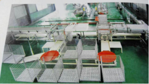 CEZL-300自动装笼系统